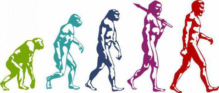 لماذا يسمى التطور عملية تاريخية